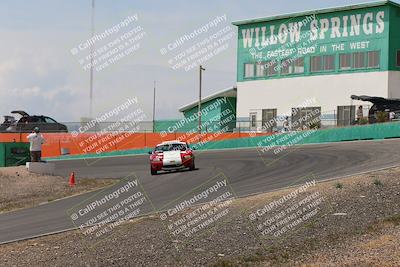 media/May-03-2025-Lucky Dog Racing (Sat) [[206de64b9d]]/Turn 4 B (1150am-130pm)/
